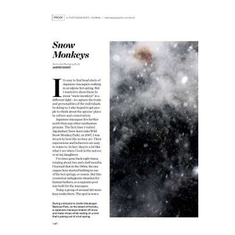 National Geographic October 2016 -Nature, Rhino Horns, African American, Europe