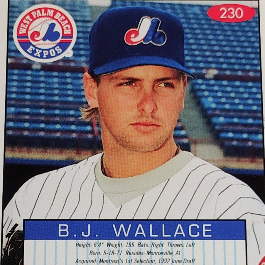 B.J. Wallace, West Palm Beach Expos , No. 230, 93-94 Fleer Excel Minor Leagues