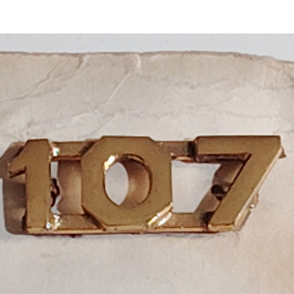 Early/Mid 1900s Brass C-Clasp "107" Collar Devices 3/8"H Hat / Lapel Pins Set