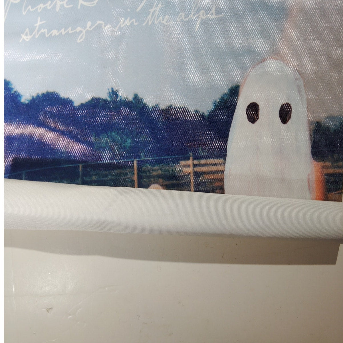 Phoebe Bridgers – Stranger in the Alps Canvas Print (12x18", Unframed Indie Album Art Print)