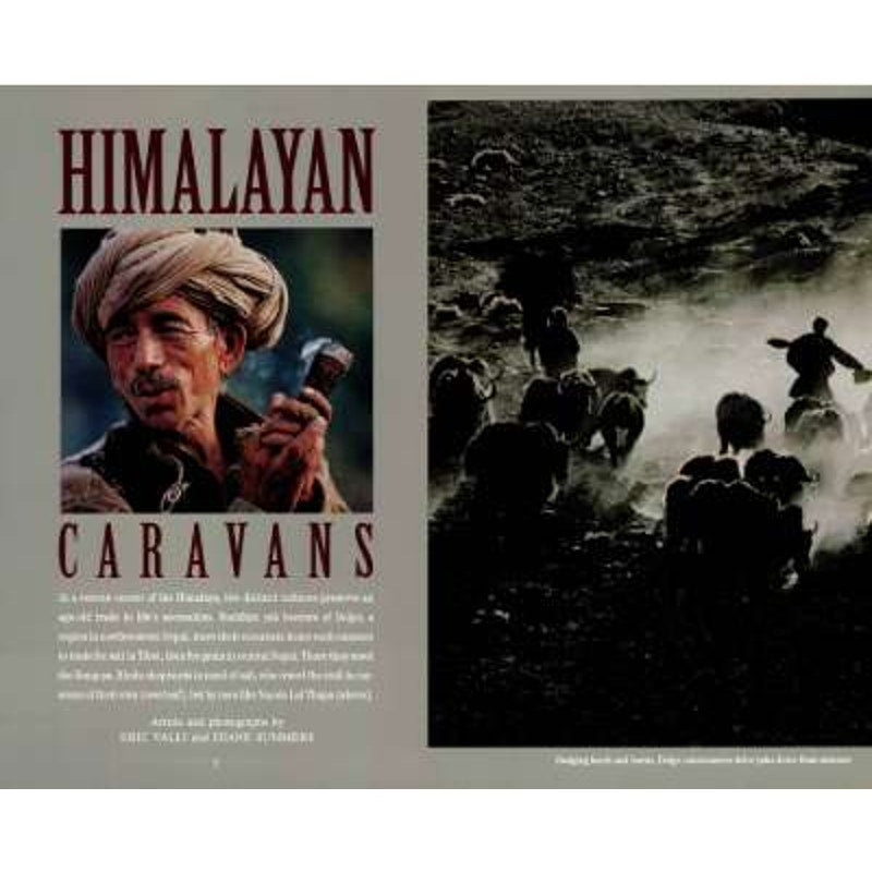 National Geographic DEC 1993, Glass, Himalayan Caravans, Superior Life, St. Petersburg, Passion Vine Butterflies, EUC