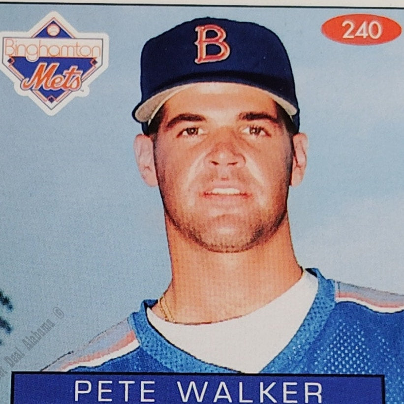 Pete Walker, Binghamton Mets, No. 240, 93-94 Fleer Excel Minor Leagues