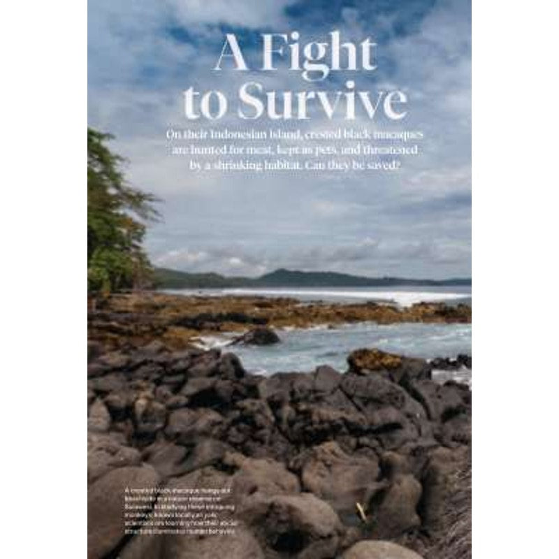 National Geographic Magazine March 2017, Vikings, Astonding Trees, Deepest Cave