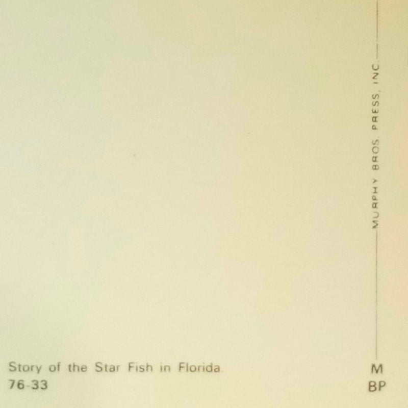 The Star Fish of the Sea - Florida, 3.5 x 5.5 in., Vintage Postcard