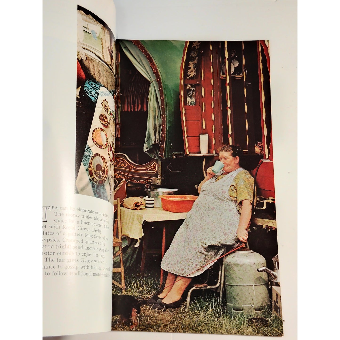 National Geographic Magazine – June 1972, Aphrodisias, Gypsies, Salt Marshes