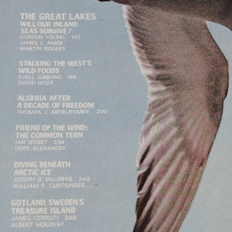 National Geographic Magazine – August 1973, Great Lakes, Arctic Ice, Algeria