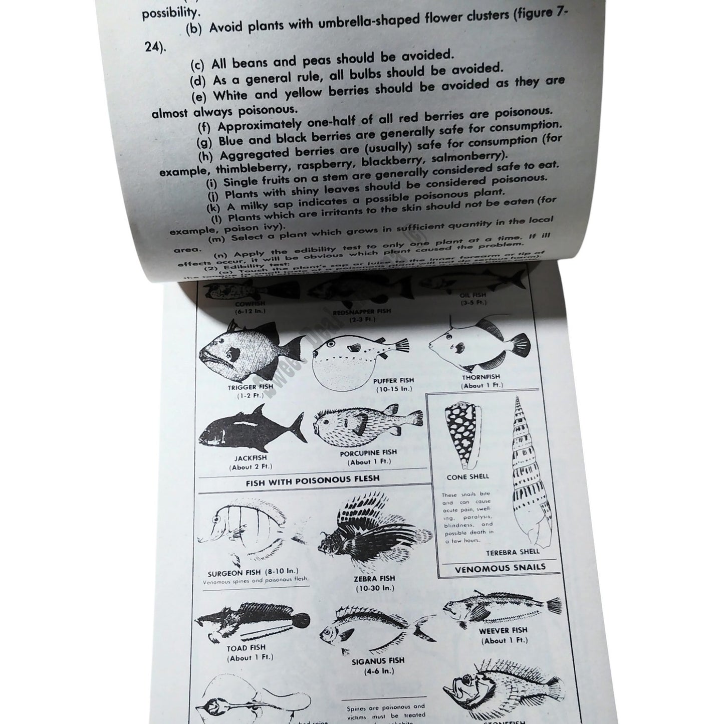 Vintage Sept 1985 Aircrew Survival Pamphlet 64-5, Dept of Air Force, 121 Pages