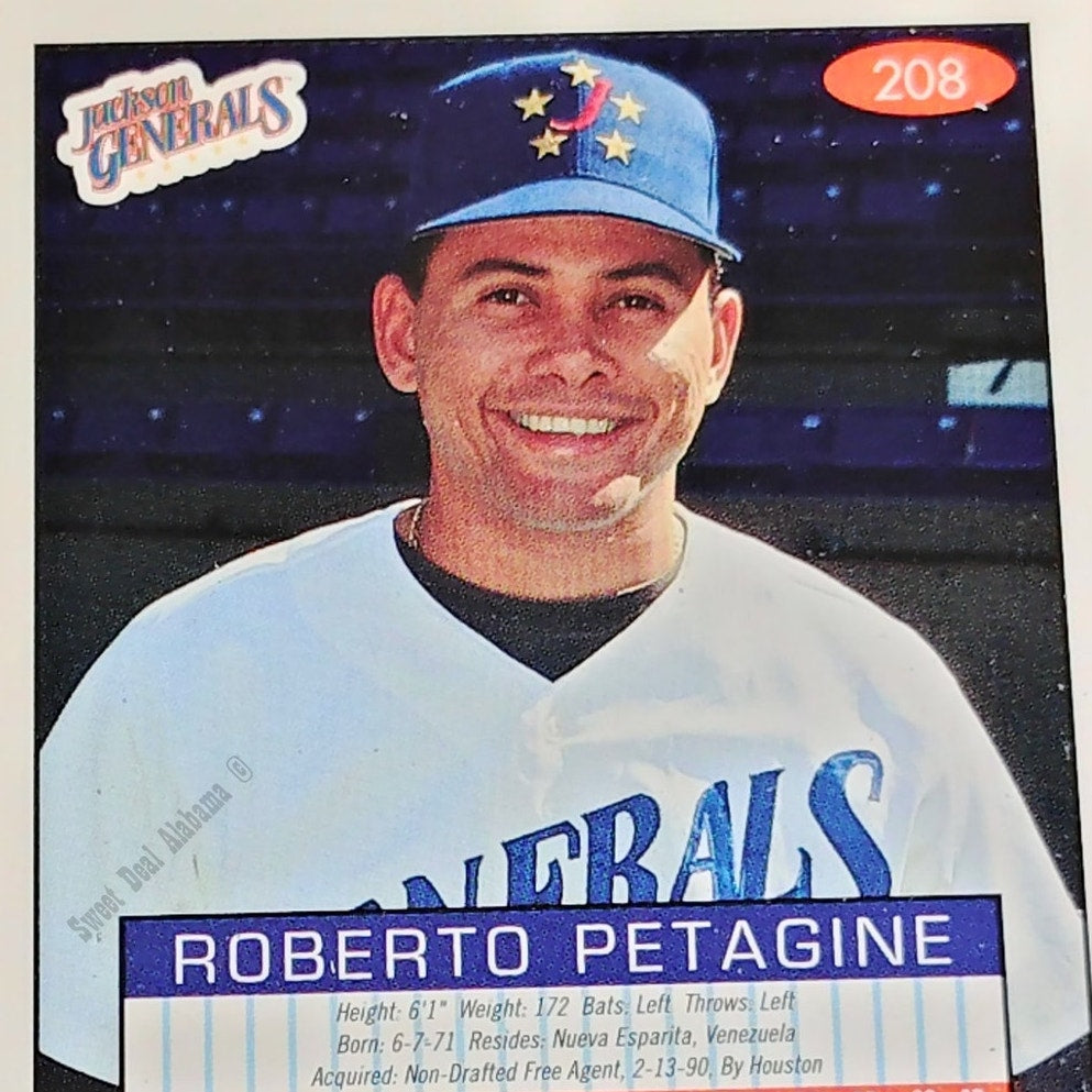 Roberto Petagine, Jackson Generals, No. 208, 93-94 Fleer Excel Minor Leagues
