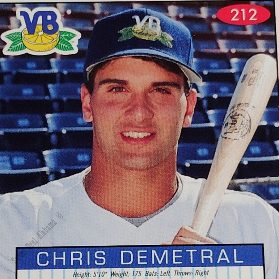 Chris Demetral, Vero Beach Dodgers, No. 212, 93-94 Fleer Excel Minor Leagues