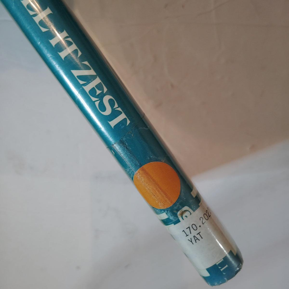 Call It Zest Vital Ingredient for Everybody Elizabeth Yates 1978 Large Print