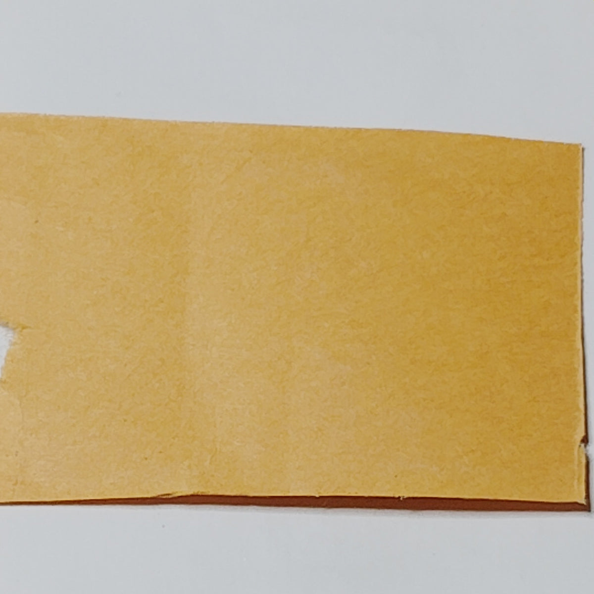 2002 Greetings from Minnesota 34¢ US Stamp Loon Skyline Unused on Envelope Piece