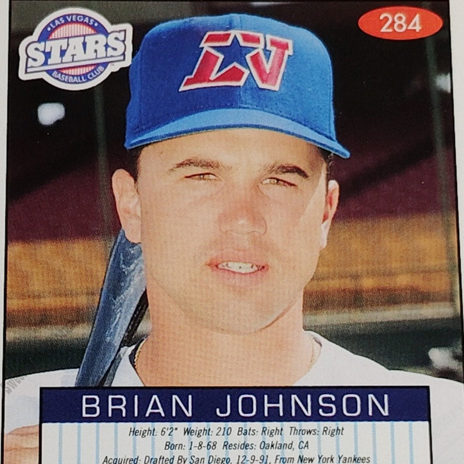 Brian Johnson, Las Vegas Stars, #284, 93-94 Fleer Excel Minor Leagues
