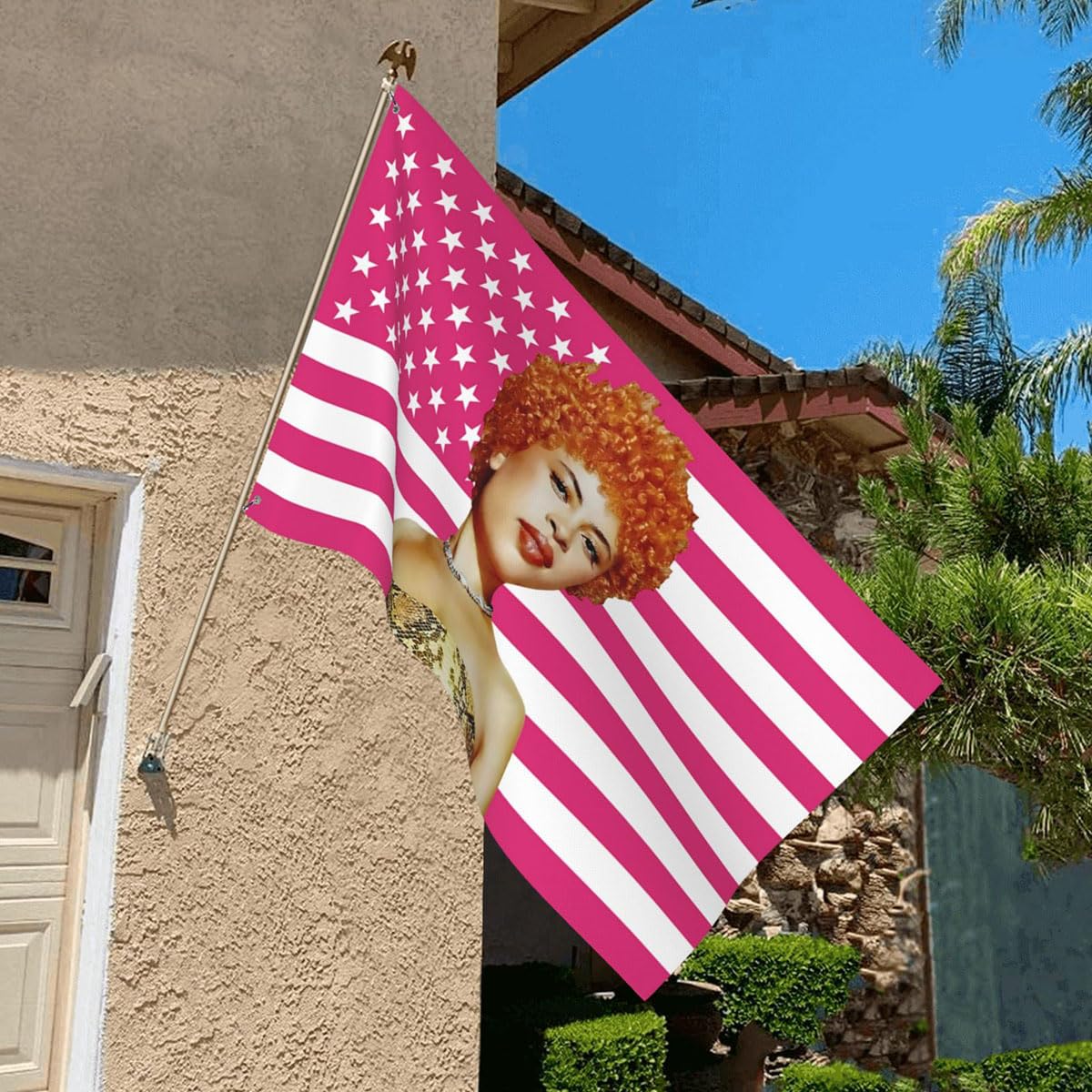 Ice Spice 3x5ft Pink American Tapestry Flag – 2 Brass Grommets, Outdoor or Room & Dorm Wall Tapestry