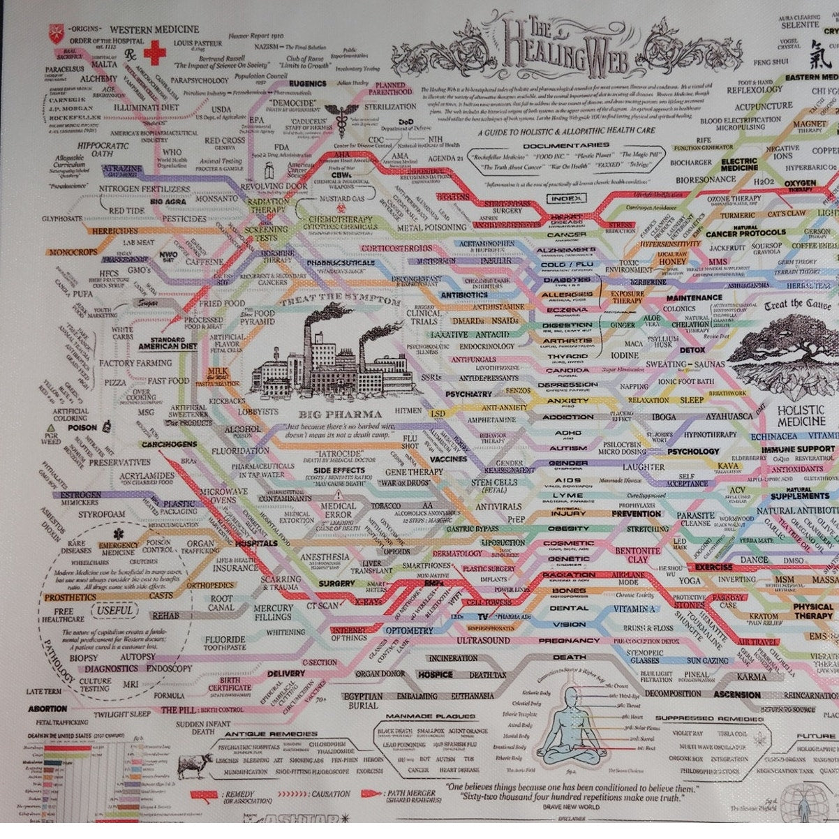 The Healing Web Canvas Print – Holistic & Allopathic Health Care Chart, 16x12" Unframed Wall Art