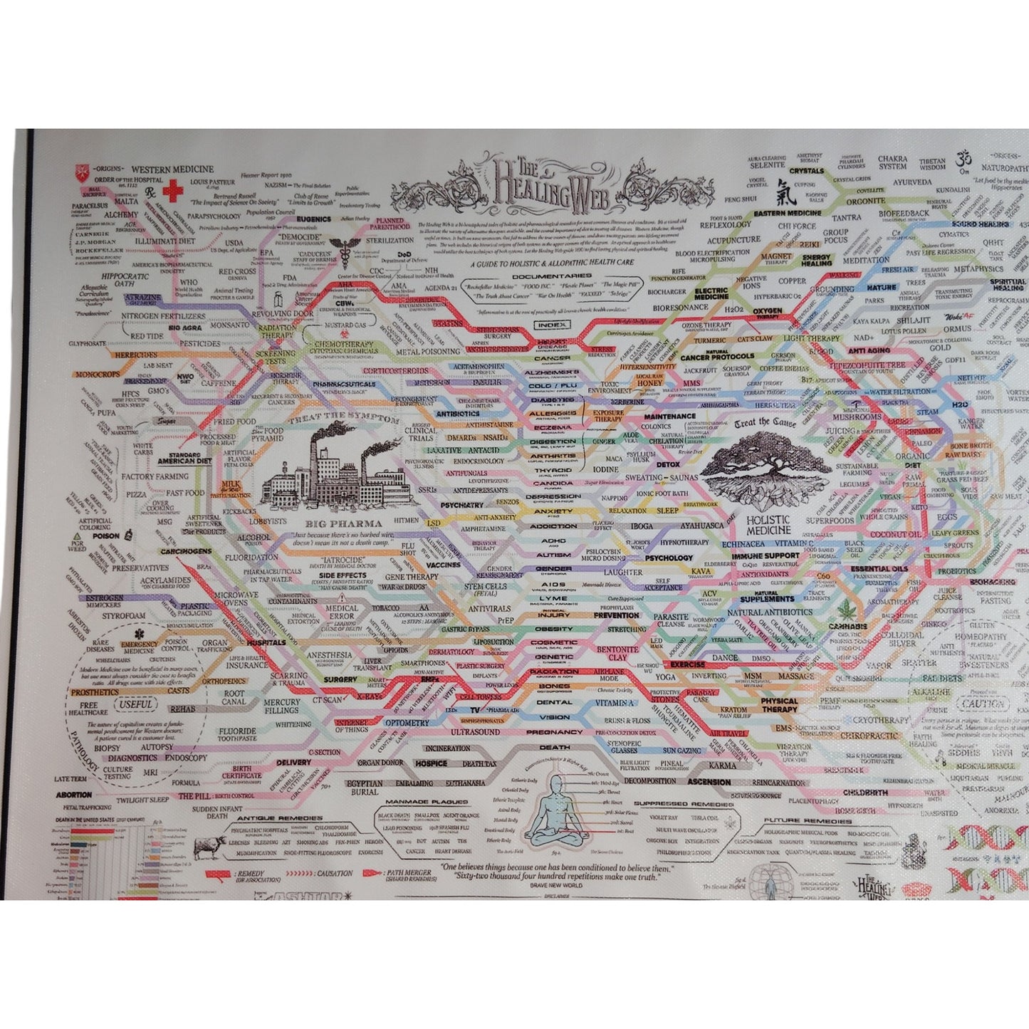 The Healing Web Canvas Print – Holistic & Allopathic Health Care Chart, 16x12" Unframed Wall Art