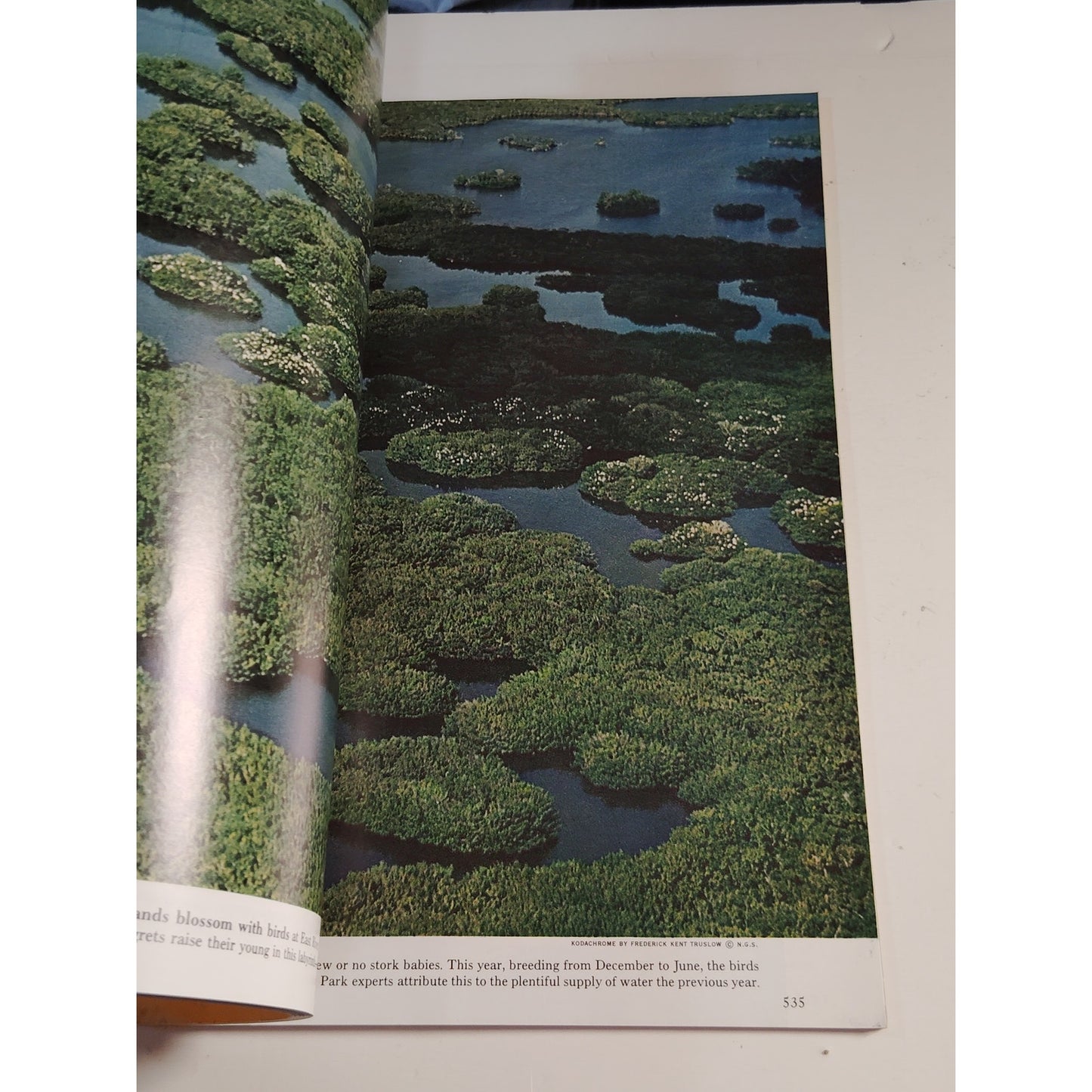 National Geographic Magazine October 1967 | Madagascar, Everglades & Monsoon Sea