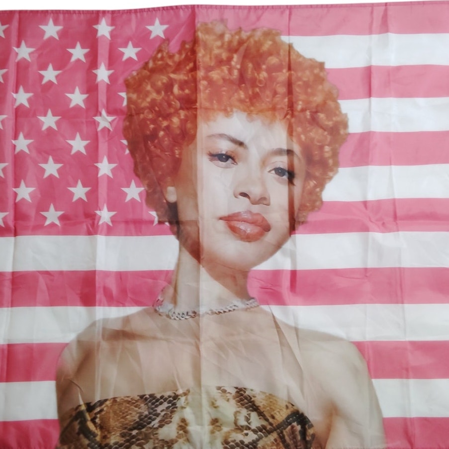 Ice Spice 3x5ft Pink American Tapestry Flag – 2 Brass Grommets, Outdoor or Room & Dorm Wall Tapestry