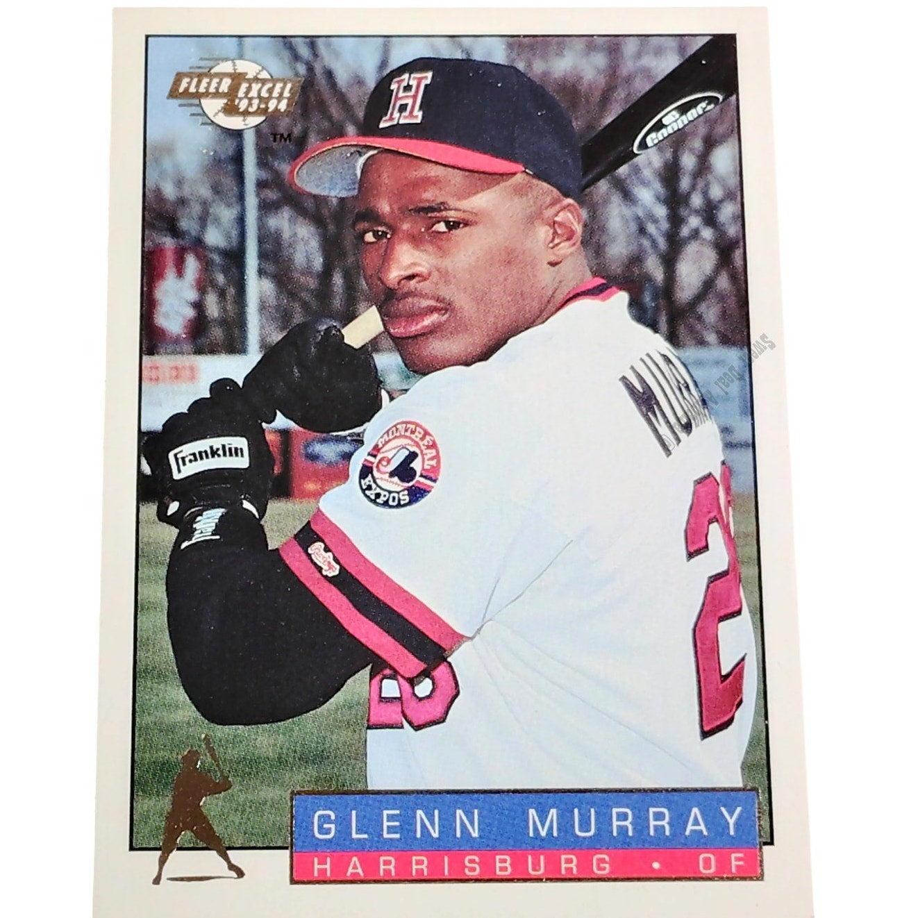 Glenn Murray, Harrisburg Senators , No. 225, 93-94 Fleer Excel Minor Leagues