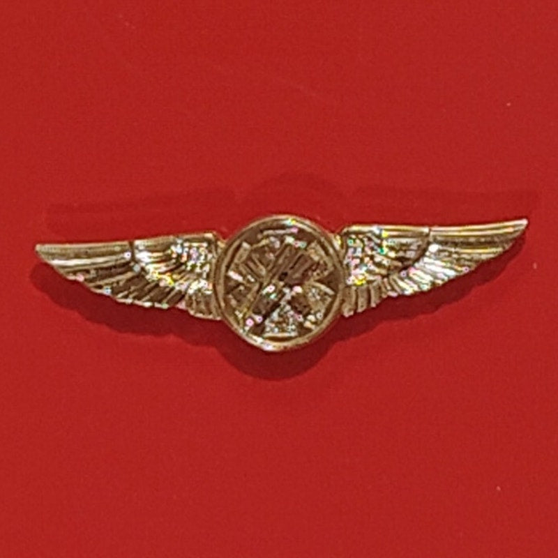 Coast Guard Badge – Rescue Swimmer – Miniature – 1-5/8" x 1-7/16"