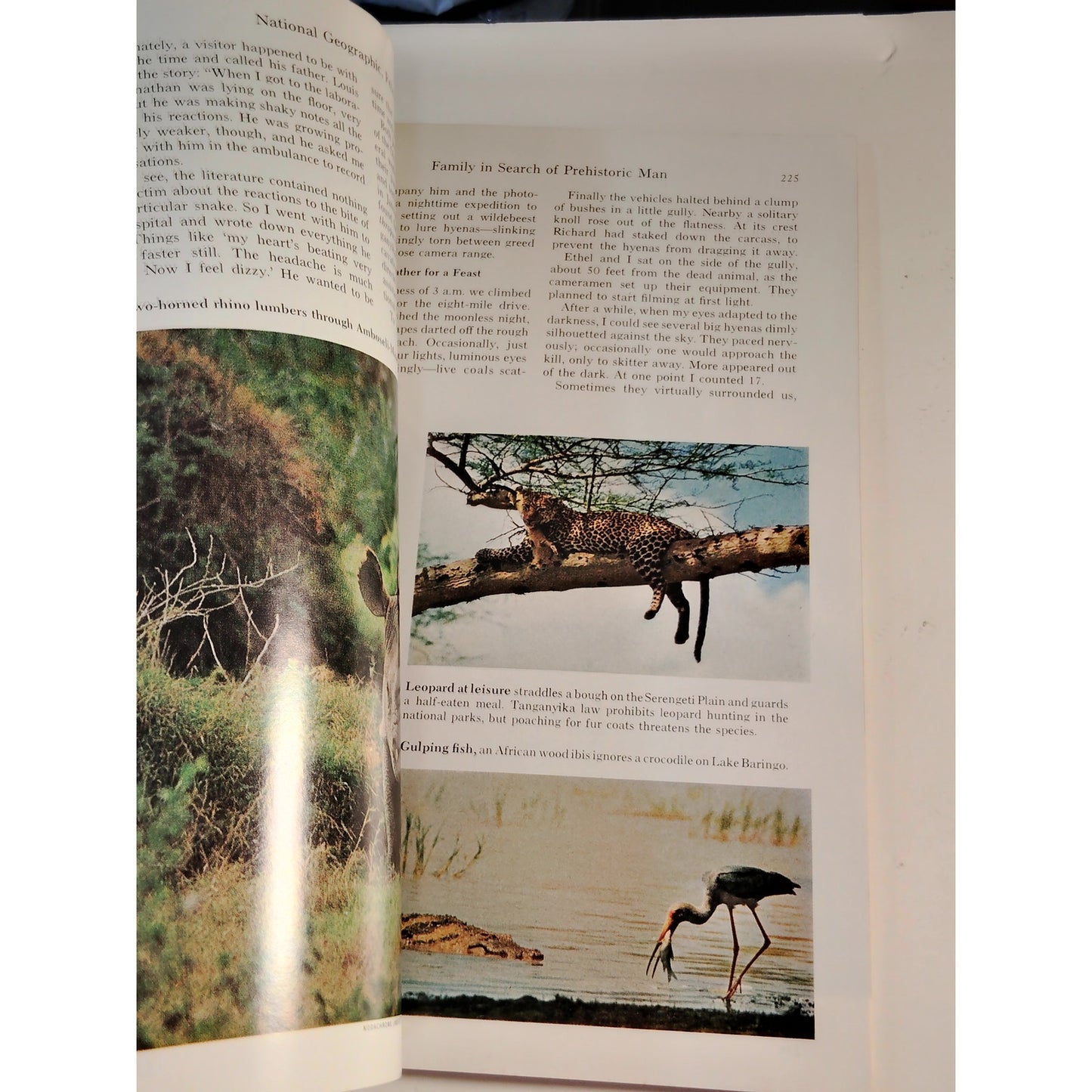 National Geographic Feb 1965, Navy Nuclear Age, Leakeys Oilbirds Arctic Ski Trek