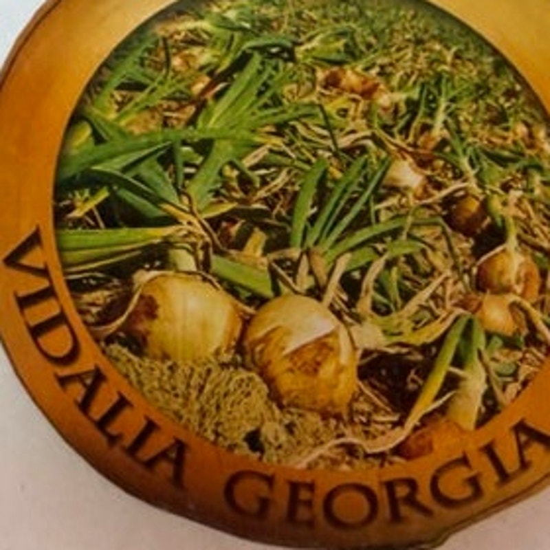 Vintage Vidalia Georgia Onion Souvenir Fridge Magnet Acrylic Die Cut Shape 2.25"