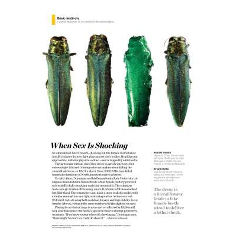 National Geographic SEP 2016, Grand Canyon, Fur Trade, Blindness Heat Wave &More