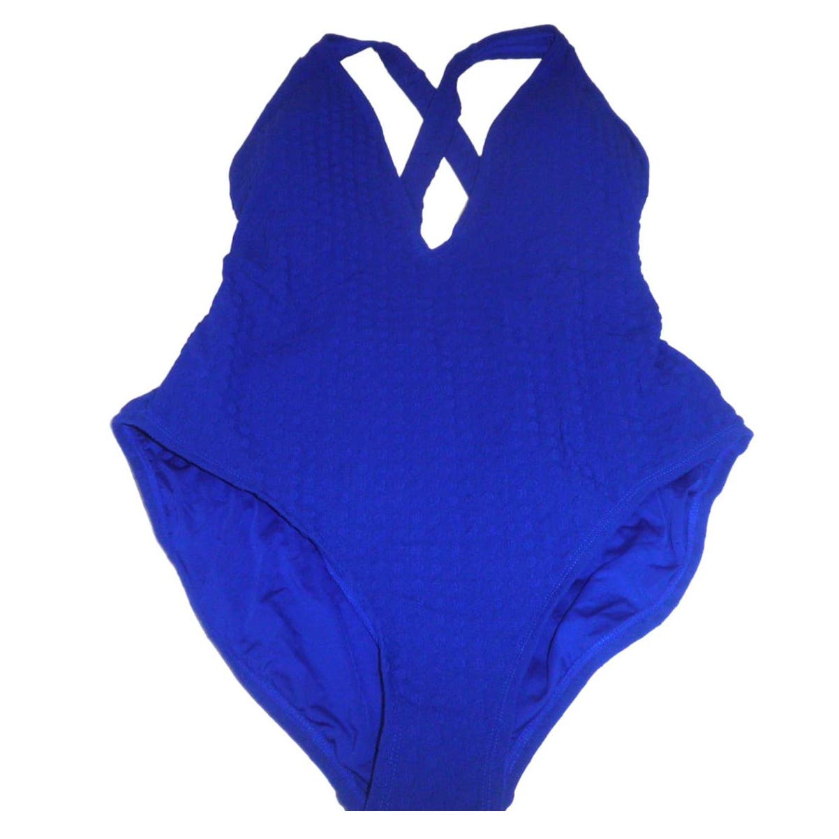 Women's Swimsuit, Blueberry, Get to The Point, Plunge Mio One-Piece, V-Front, 14