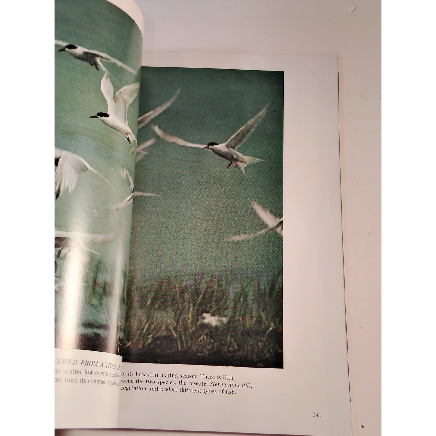 National Geographic Magazine – August 1973, Great Lakes, Arctic Ice, Algeria