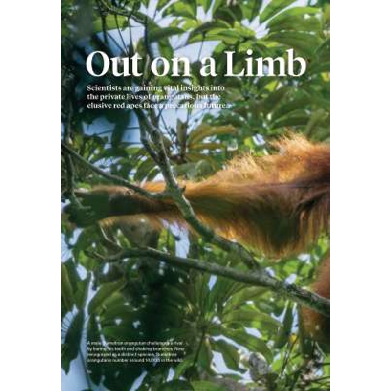 National Geographic December 2016, Power of Faith, Mind Matter, Putin Generation