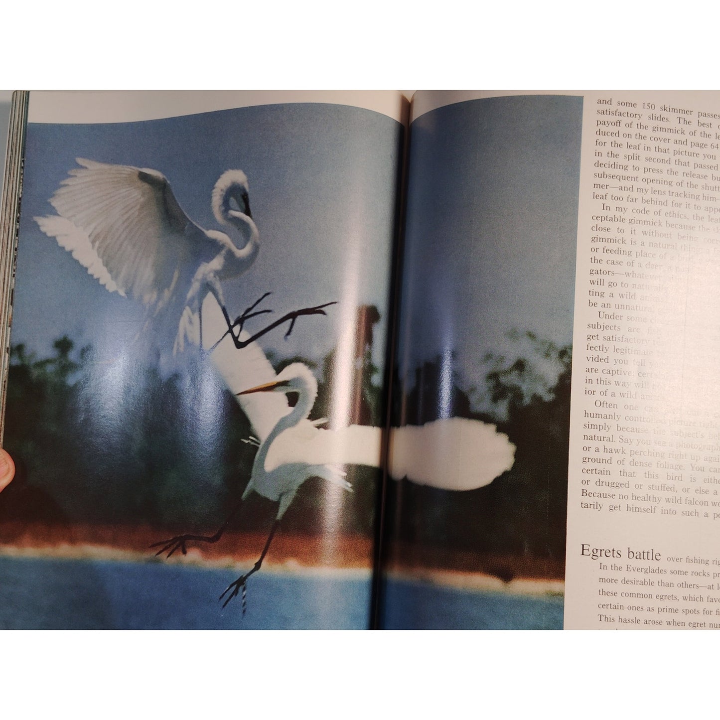 National Geographic– May 1970, Yugoslavia, Washington D.C., Business in the Bush