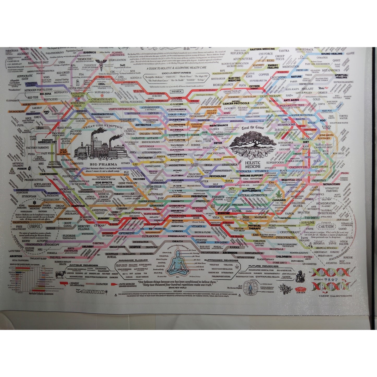 Holistic Medicine vs Big Pharma Flowchart Canvas Print – Educational Health Chart (Unframed, 18x12")