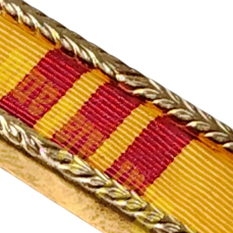 Pin - Vietnam Presidential Unit Citation, Small Leaf Gold Frame 1/2"H x 1-1/2"W
