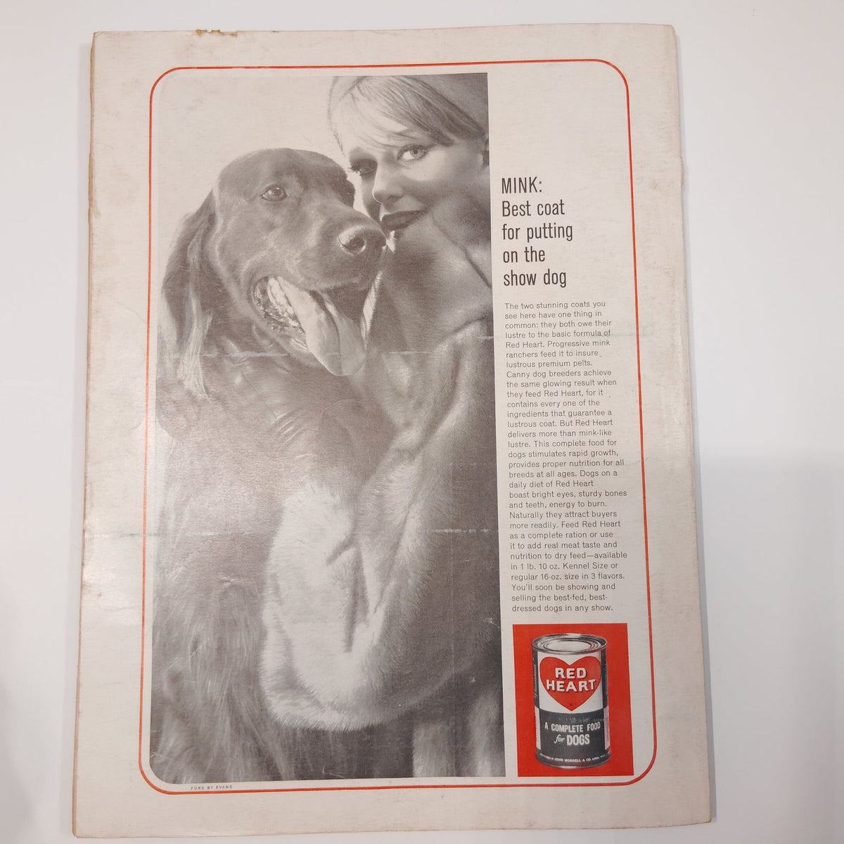 Dog World Magazine June 1964 Special Standards Issue 132 Breeds Vintage