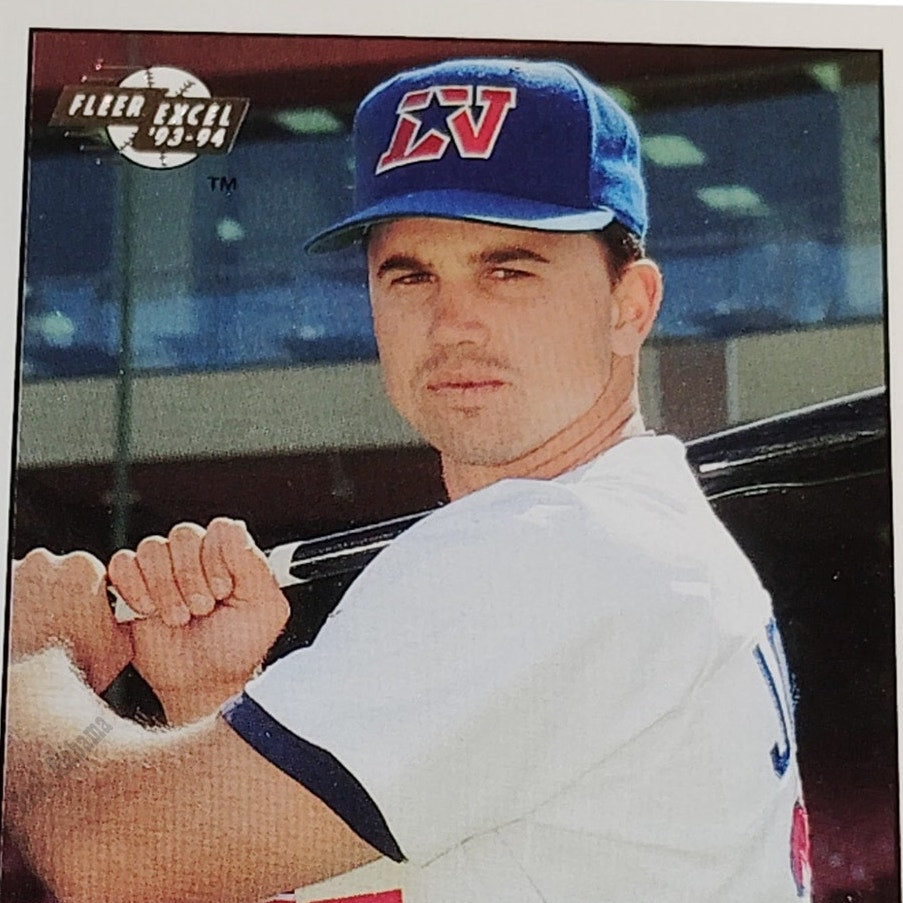 Brian Johnson, Las Vegas Stars, #284, 93-94 Fleer Excel Minor Leagues