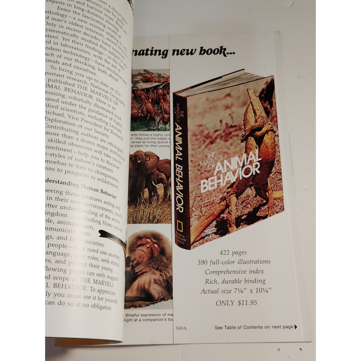 National Geographic Magazine – October 1972, Amazon, Mercury, Baja California