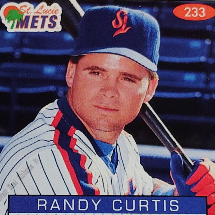 Randy Curtis, St. Lucie Mets, No. 233, 93-94 Fleer Excel Minor Leagues