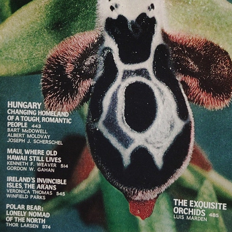 National Geographic Magazine – April 1971, Hungary, Polar Bears, Maui