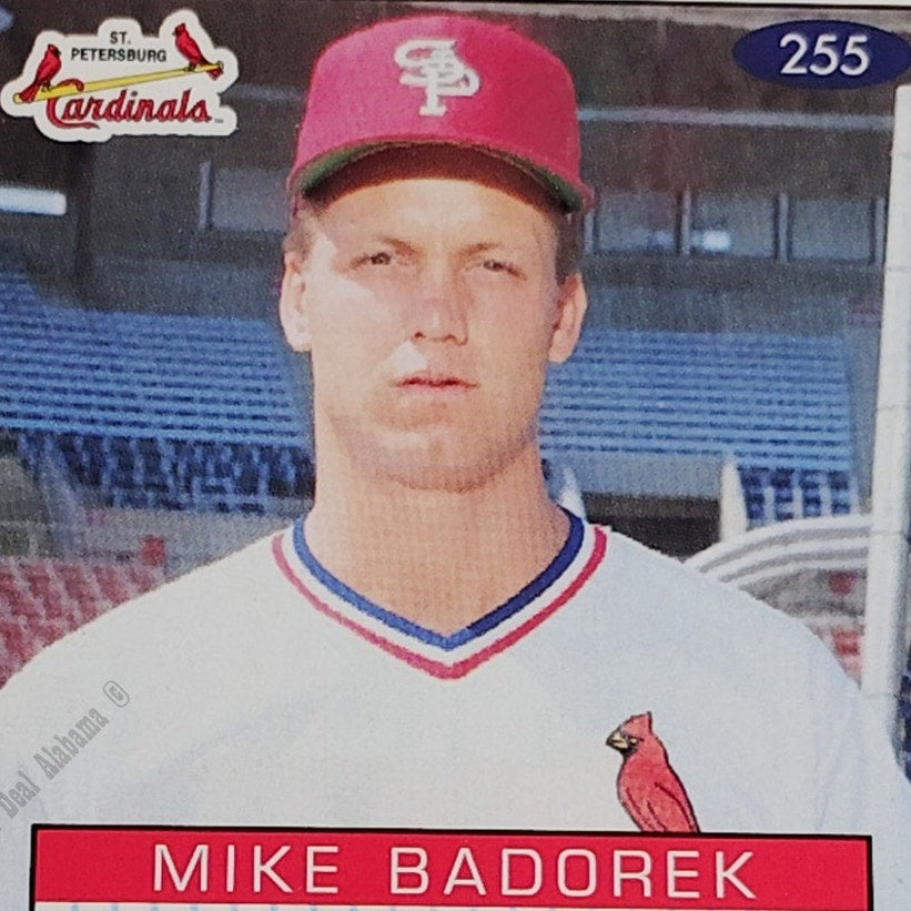 Mike Badorek, St Petersburg Cardinals, No. 255, 93-94 Fleer Excel Minor Leagues