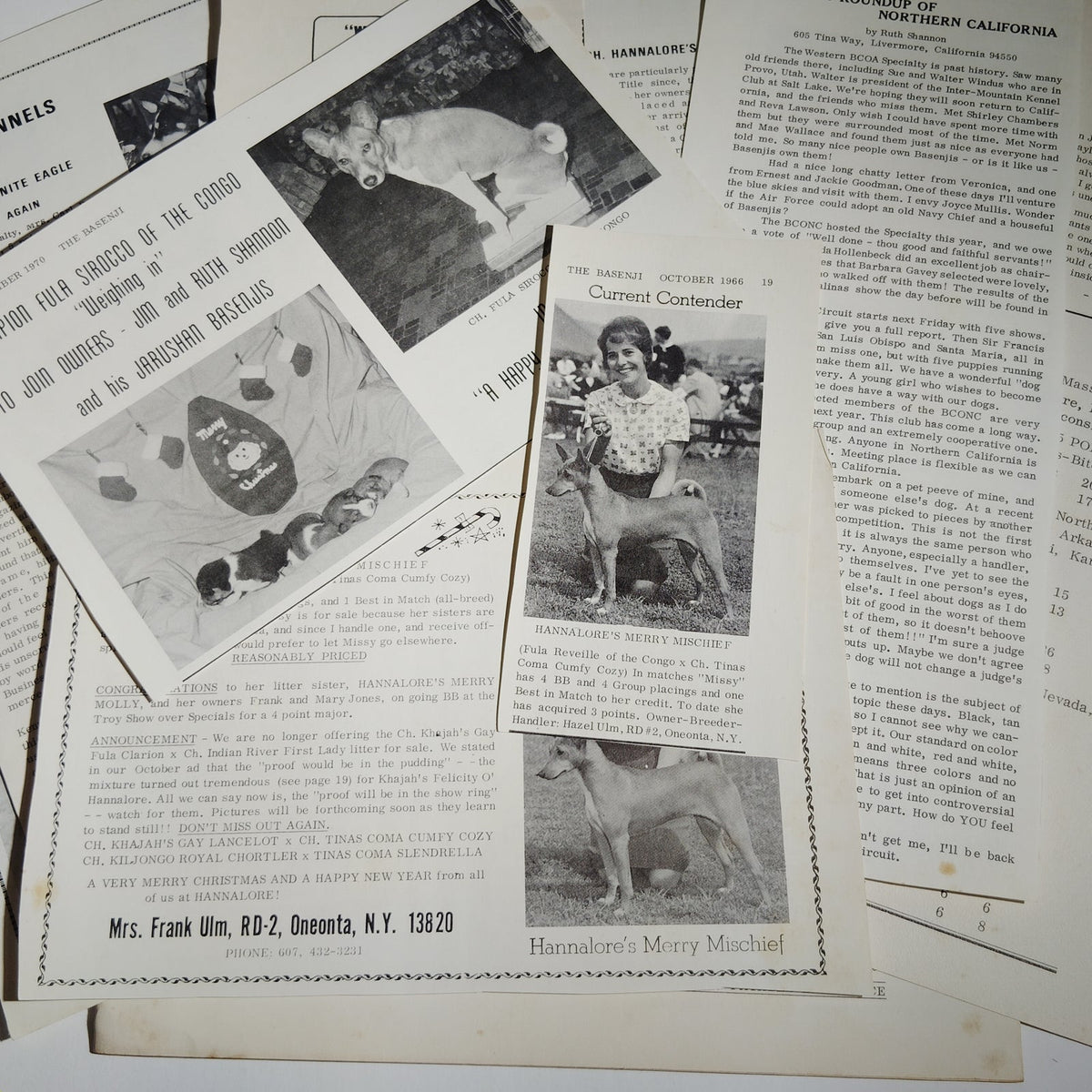 The Basenji Magazine June 1967 Vol. IV No. 6 - Basenji Club of America