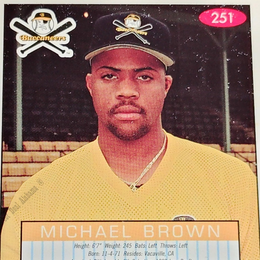 Michael Brown, Salem Buccaneers, No. 251, 93-94 Fleer Excel Minor Leagues