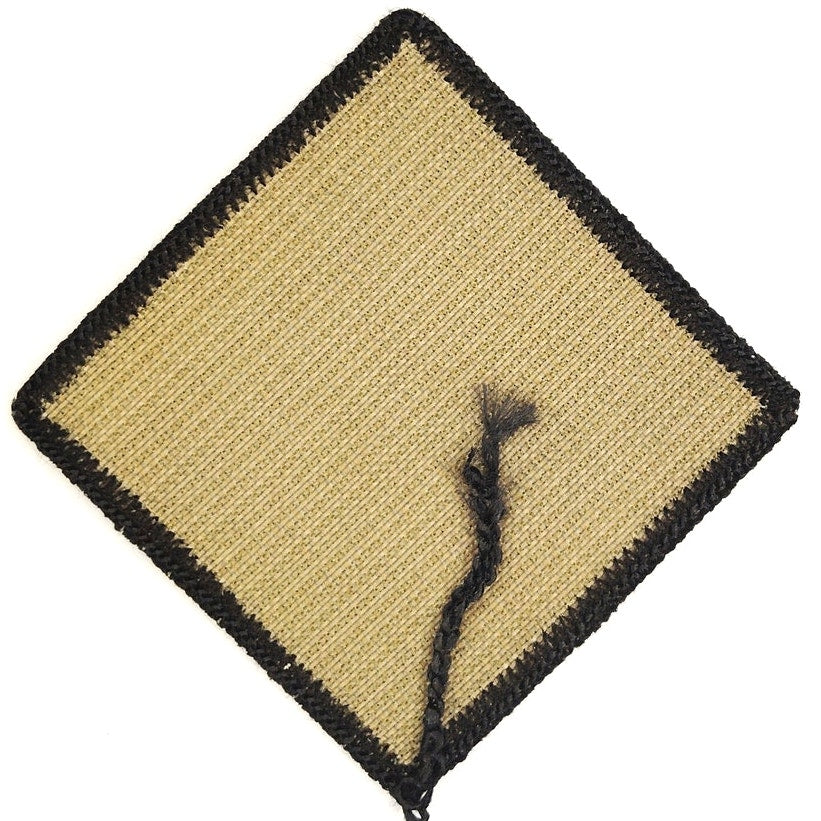US Army 18th Airborne Corps Subdued Sky Dragon Patch OCP Hook Back 3‑1/4"