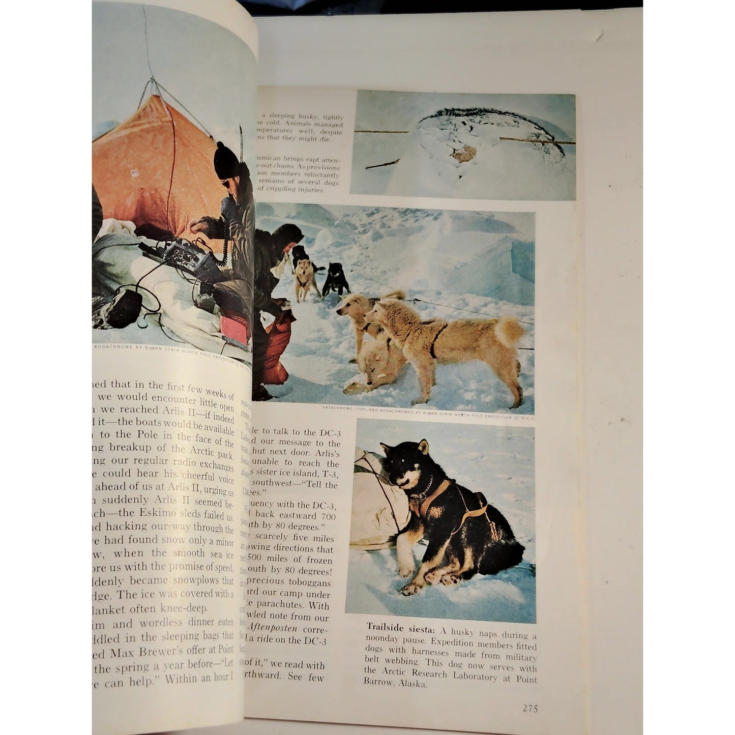 National Geographic Feb 1965, Navy Nuclear Age, Leakeys Oilbirds Arctic Ski Trek