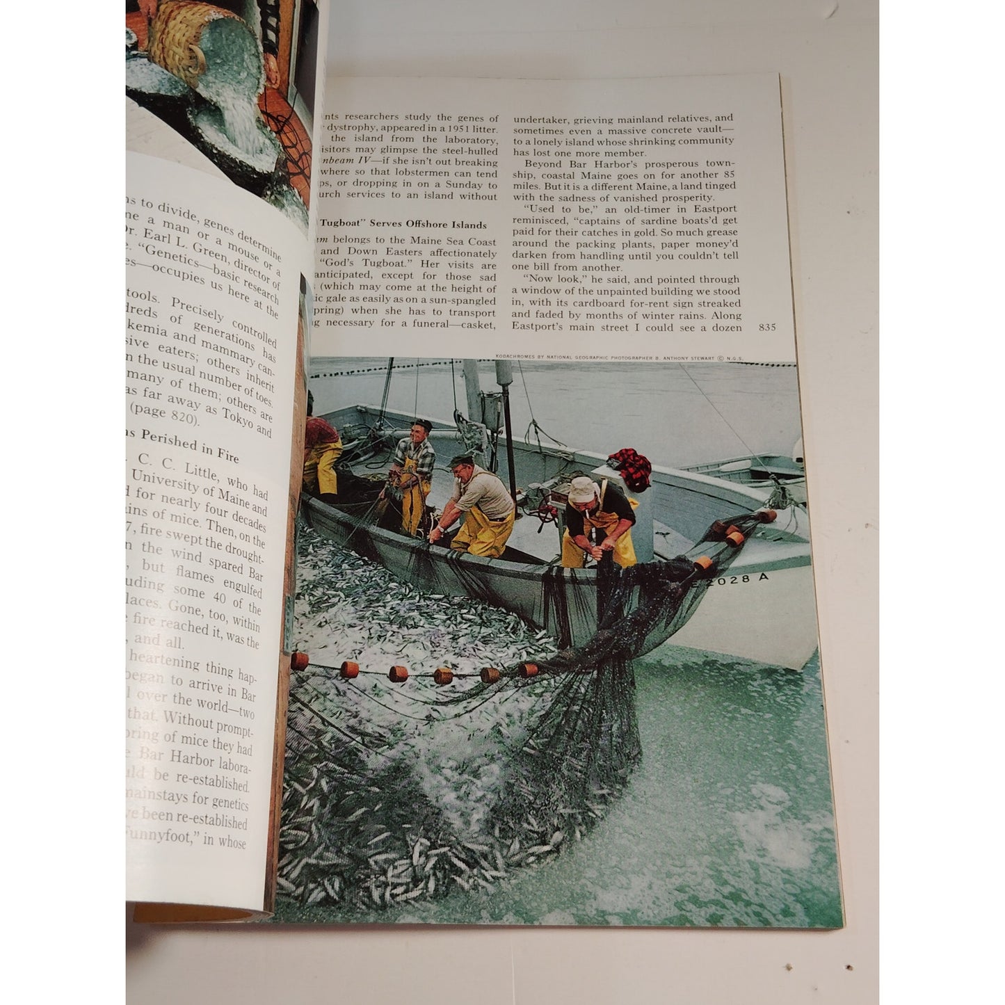 National Geographic Magazine – June 1968, Morocco, Mexico, Maine, Vienna