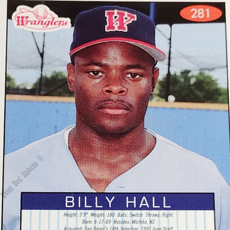 Billy Hall, Wichita Wranglers, #281, 93-94 Fleer Excel Minor Leagues