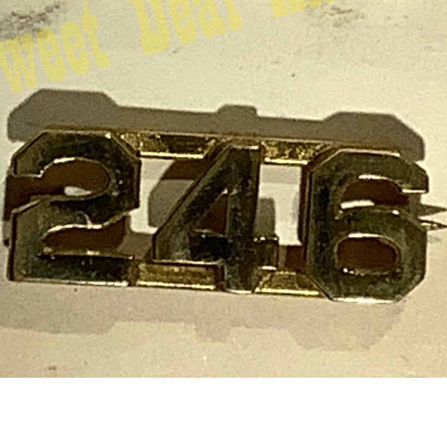 Early/Mid 1900s Brass C-Clasp Number "246" Collar Device 3/8"H Hat / Lapel Pin