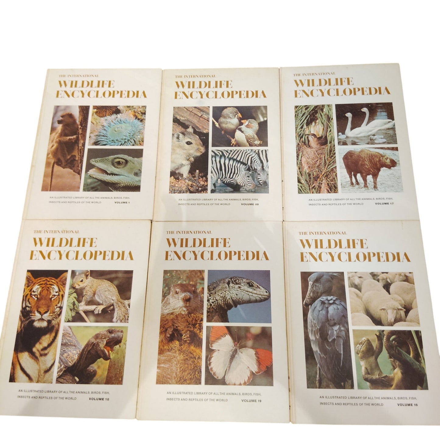 1970 International Wildlife Encyclopedia 20‑Volume Set Burton Vintage Estate