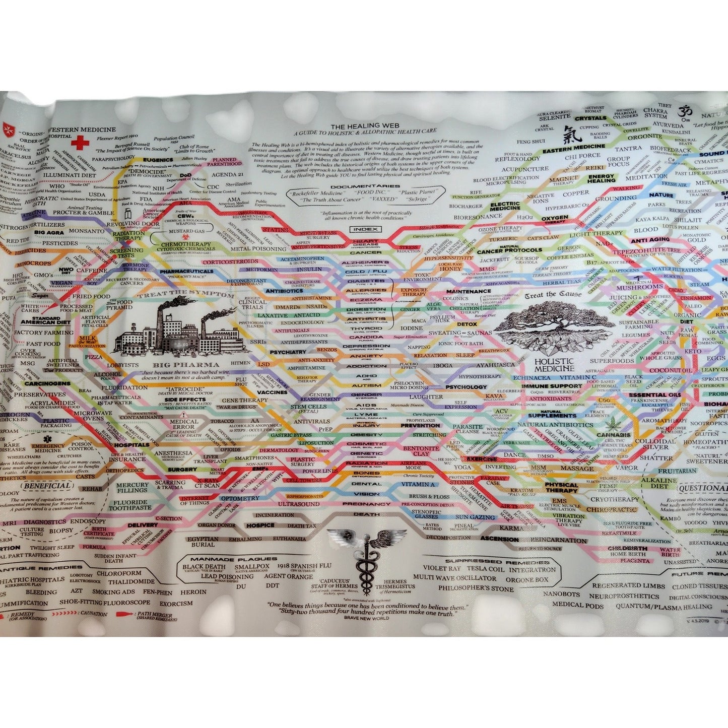 The Healing Web Canvas Wall Art – Natural Remedies Chart Poster, Horizontal Print, 24x16" Unframed