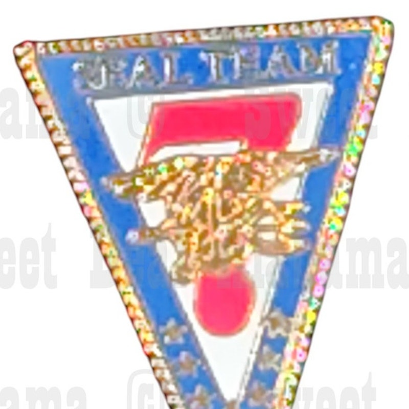 Seal Team Seven Hat, Lapel, or Vest Novelty Collectors Pin 1"H x 3/4"W