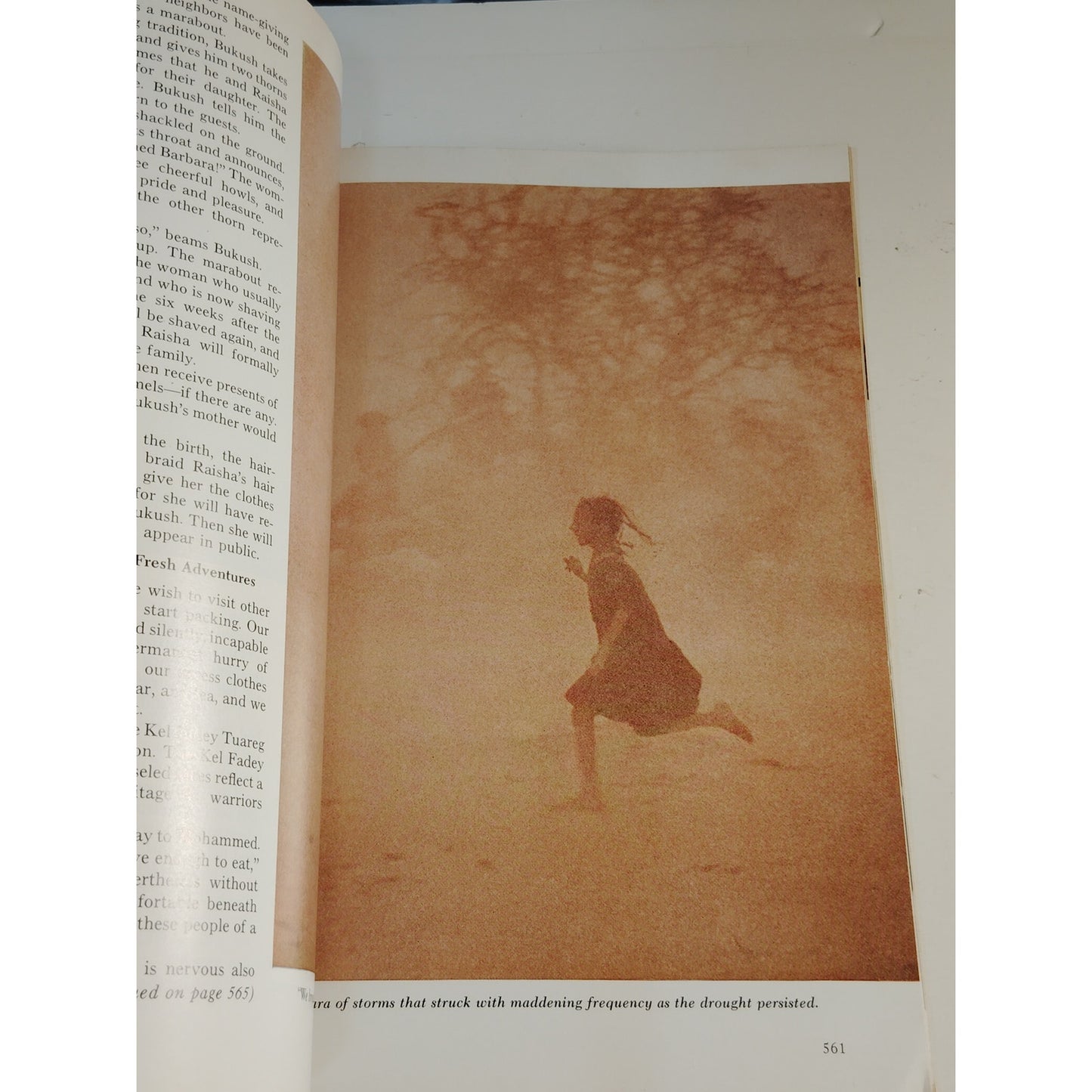 National Geographic Magazine – April 1974, Charles Dickens, Damascus, Timber