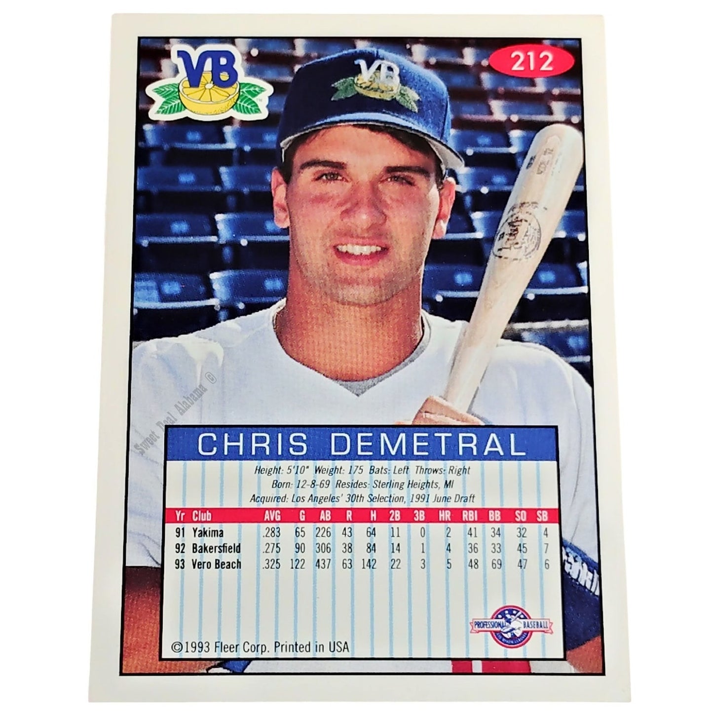 Chris Demetral, Vero Beach Dodgers, No. 212, 93-94 Fleer Excel Minor Leagues